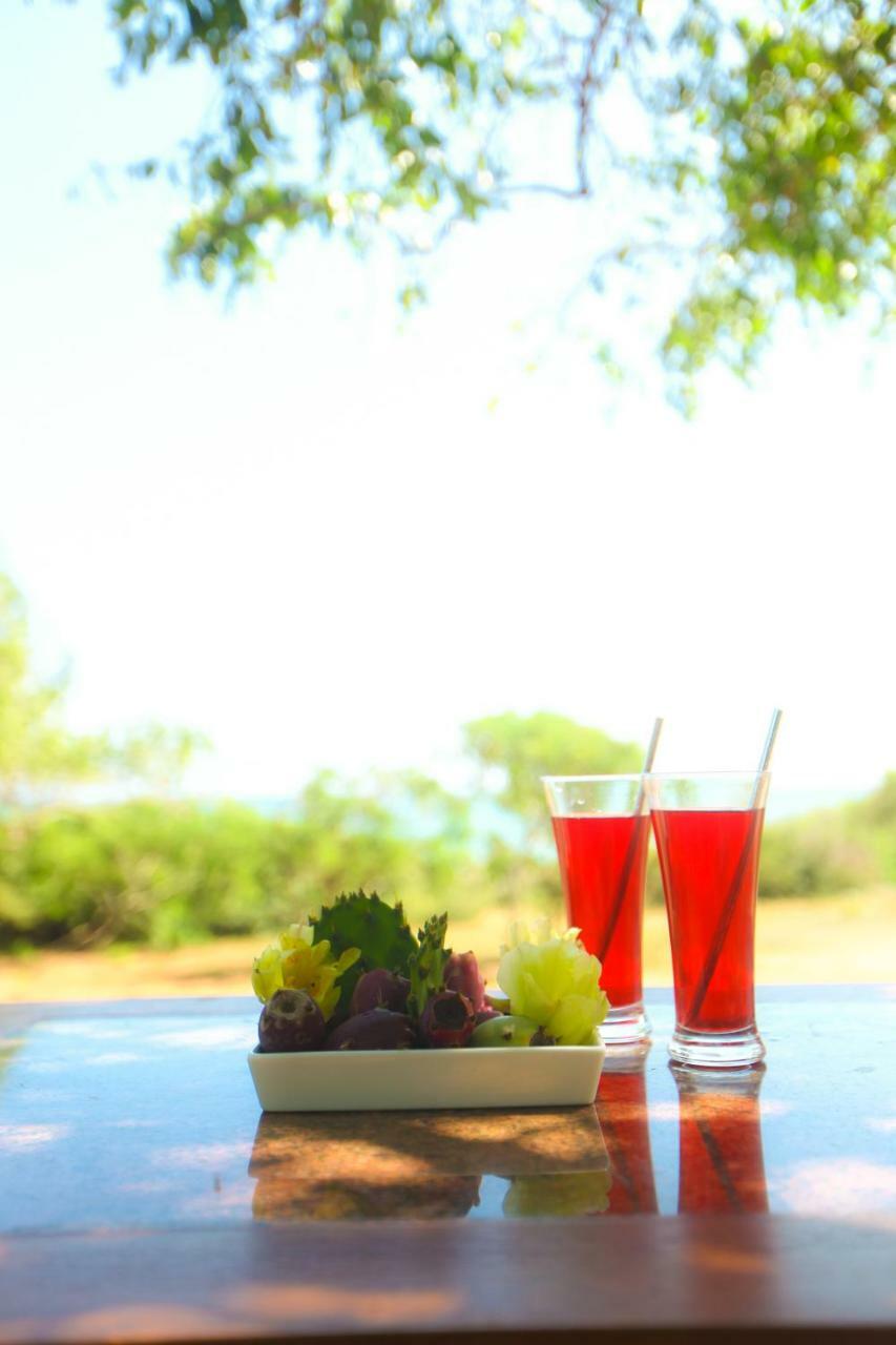 Nil Sisila Beach Resort Yala Zewnętrze zdjęcie